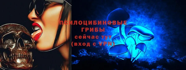 стаф Костерёво
