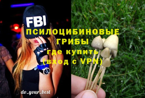 спиды Мурманск