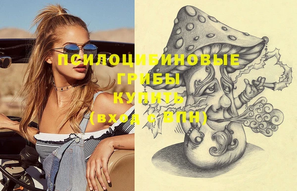 стаф Костерёво
