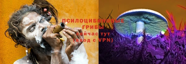 меф Коряжма