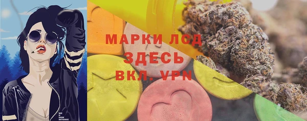 ешки Корсаков